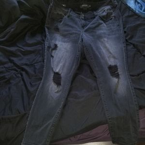 Torrid Black Jeggings